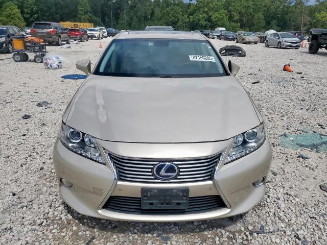 Lexus Es 300h Image 2