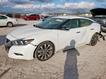  Salvage Nissan Maxima