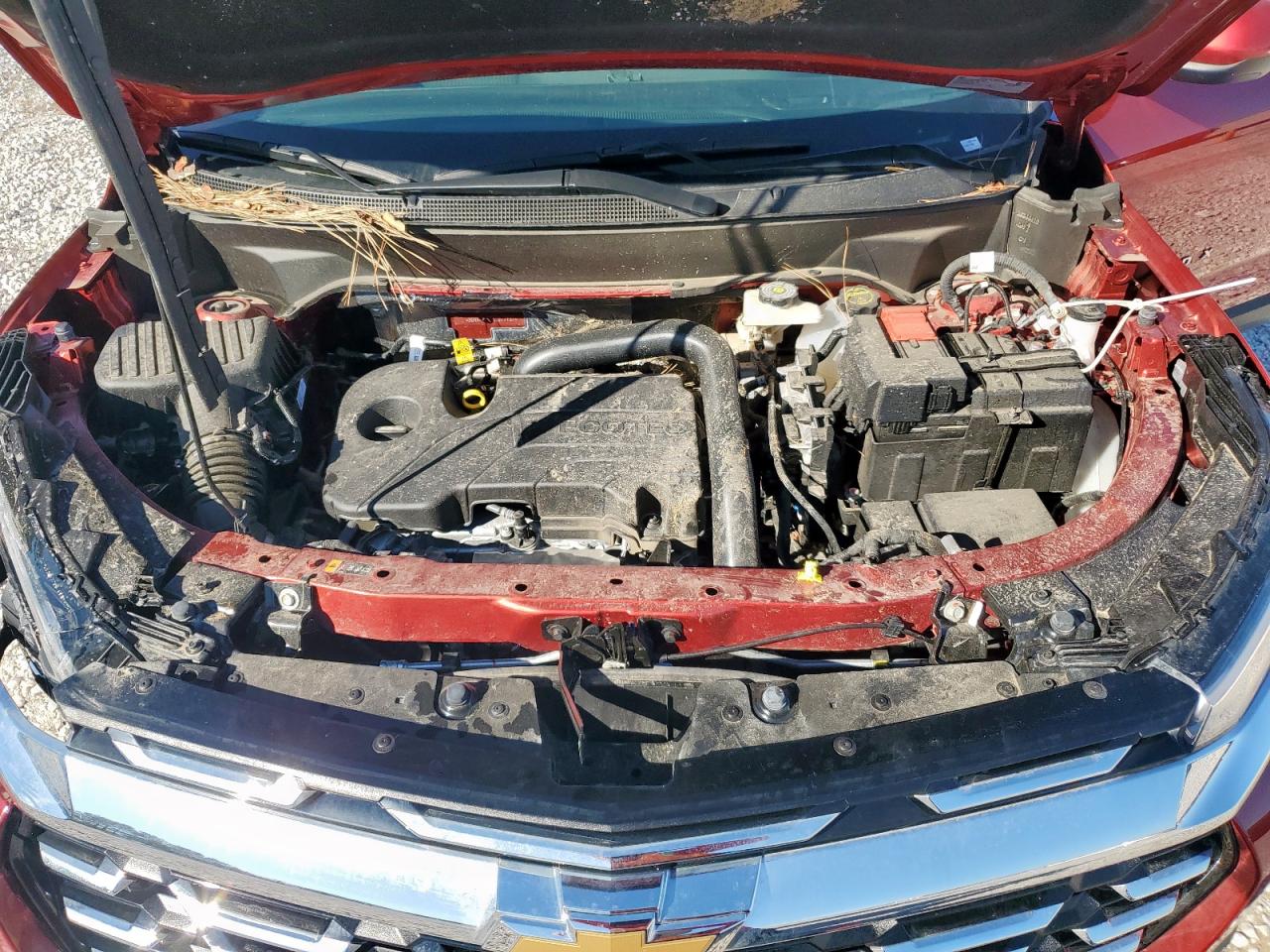 Chevrolet Equinox Lt Image 7