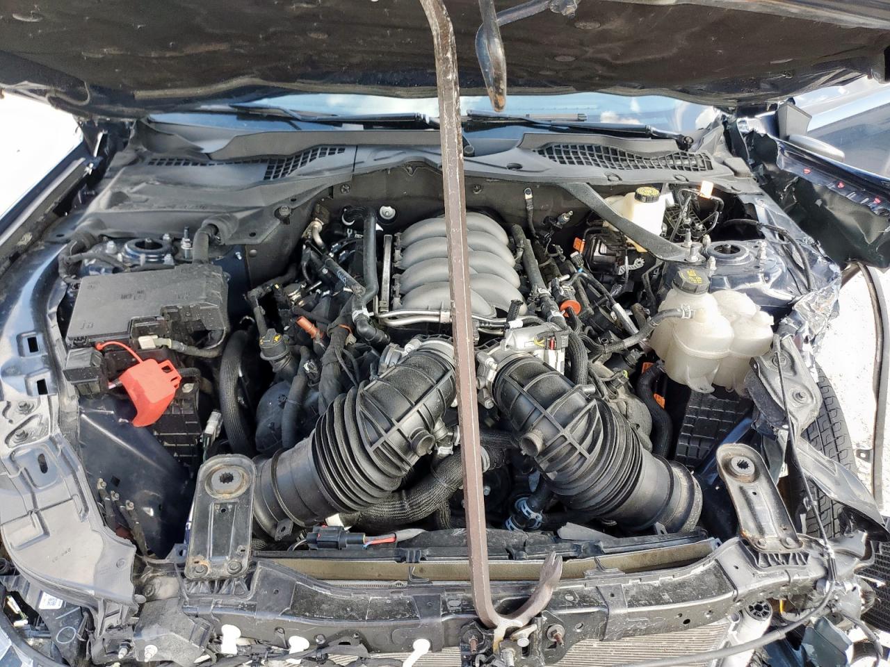 Ford Mustang Dark Horse Image 8