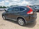 Honda Crv Exl Image 3