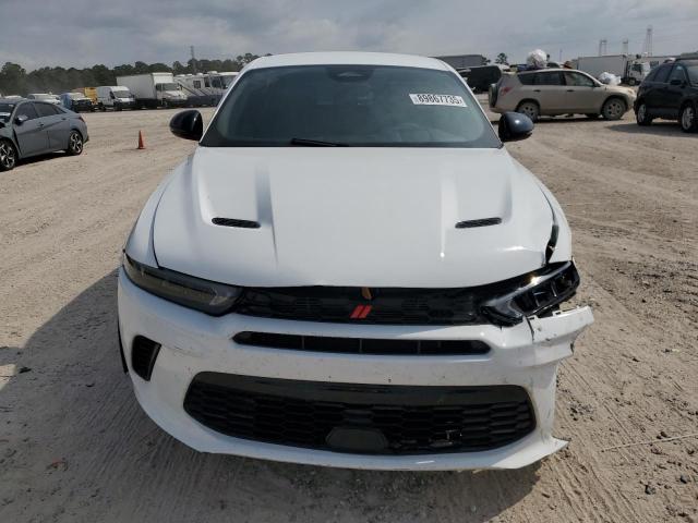 Dodge Hornet Gt Gt Image 2