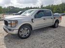 Ford F-150 Supercrew Image 1