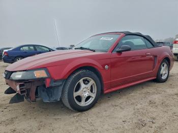  Salvage Ford Mustang