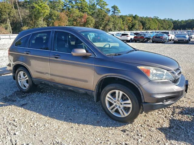 Honda Crv Exl Image 4