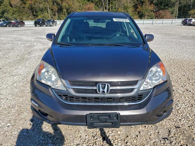 Honda Crv Exl Image 5