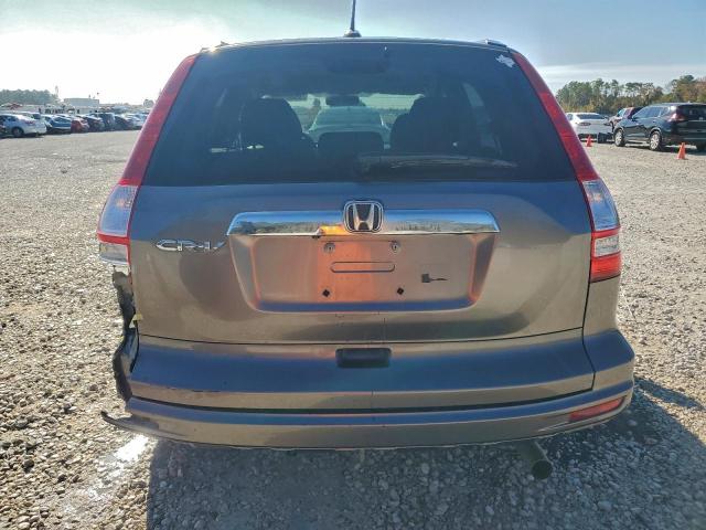 Honda Crv Exl Image 3