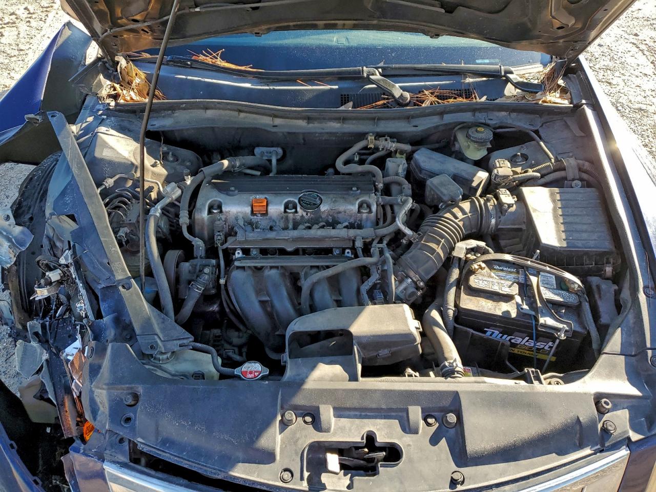 Honda Accord Lxp Image 2