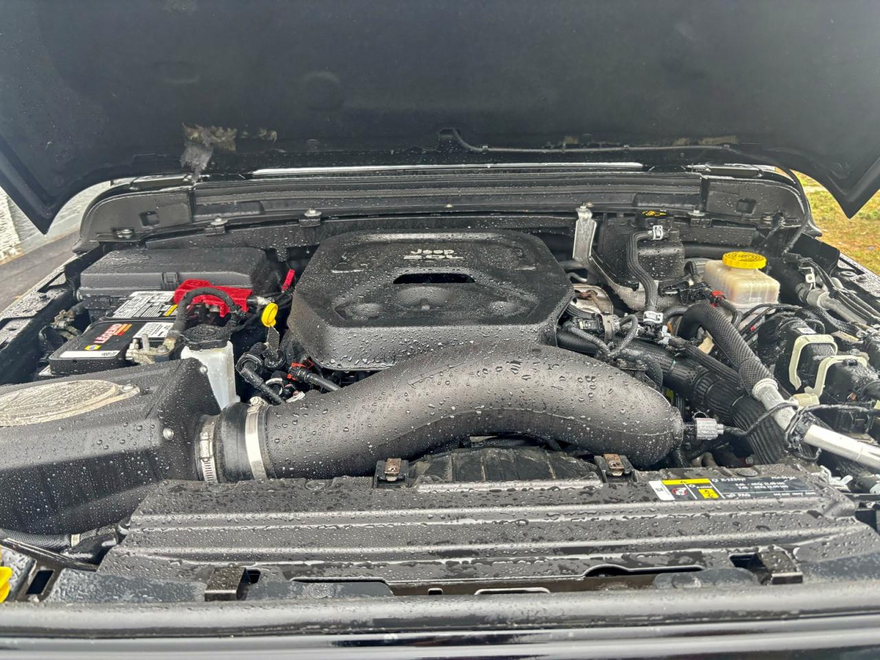 Jeep Wrangler Rubicon Image 9