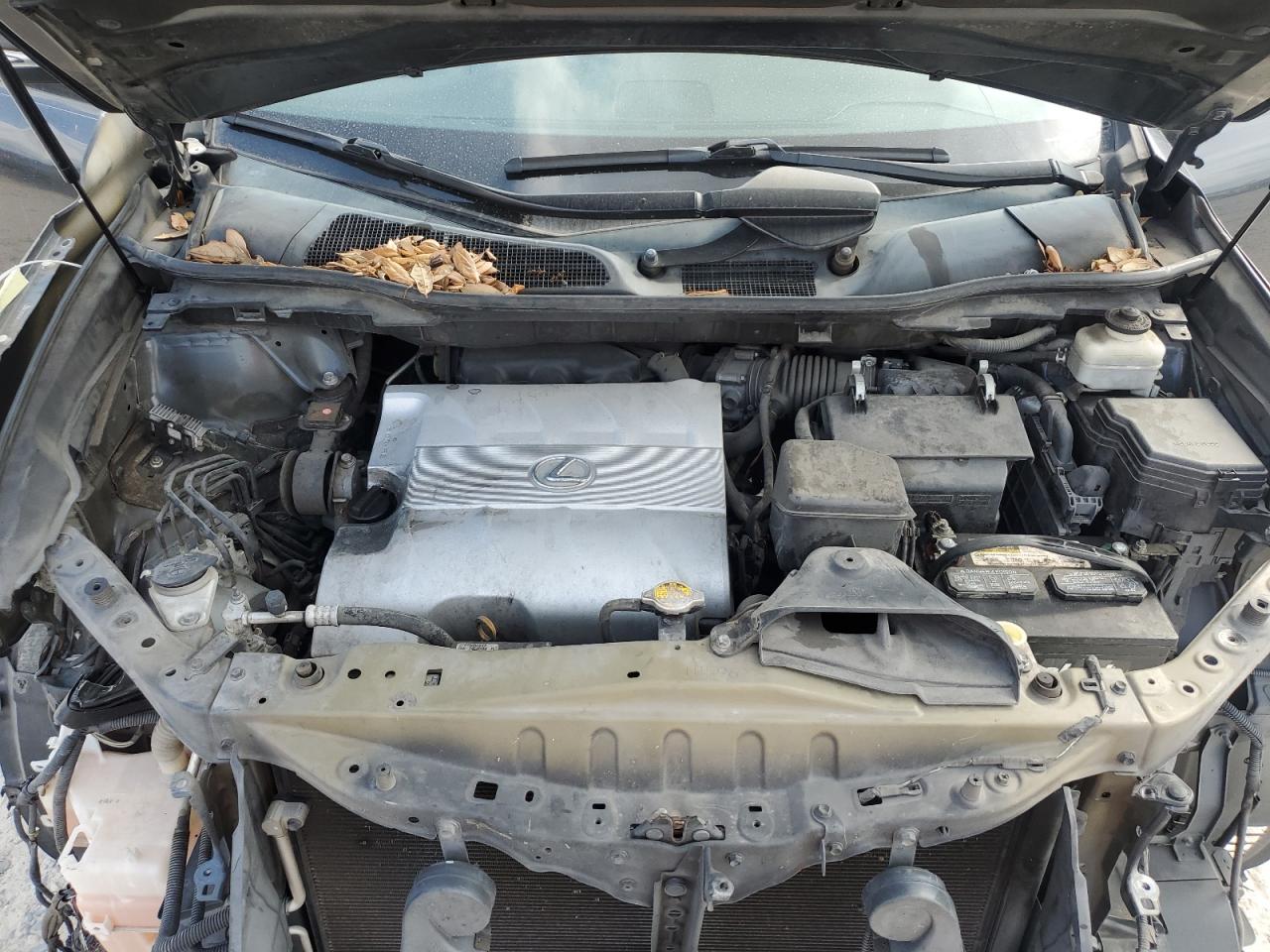 Lexus RX 350 Image 11