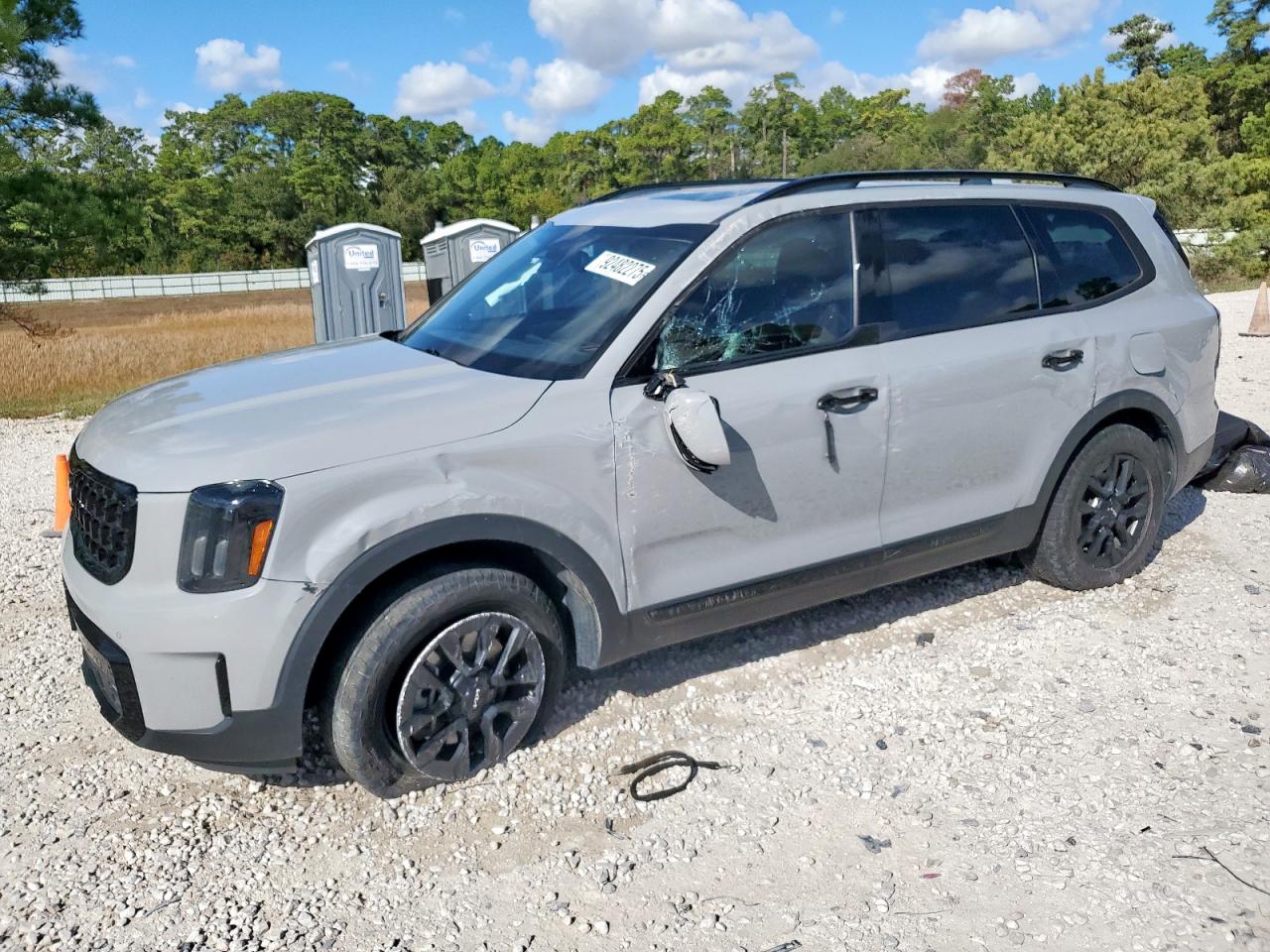 Kia Telluride Sx Image 1
