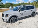 Kia Telluride Sx Image 1