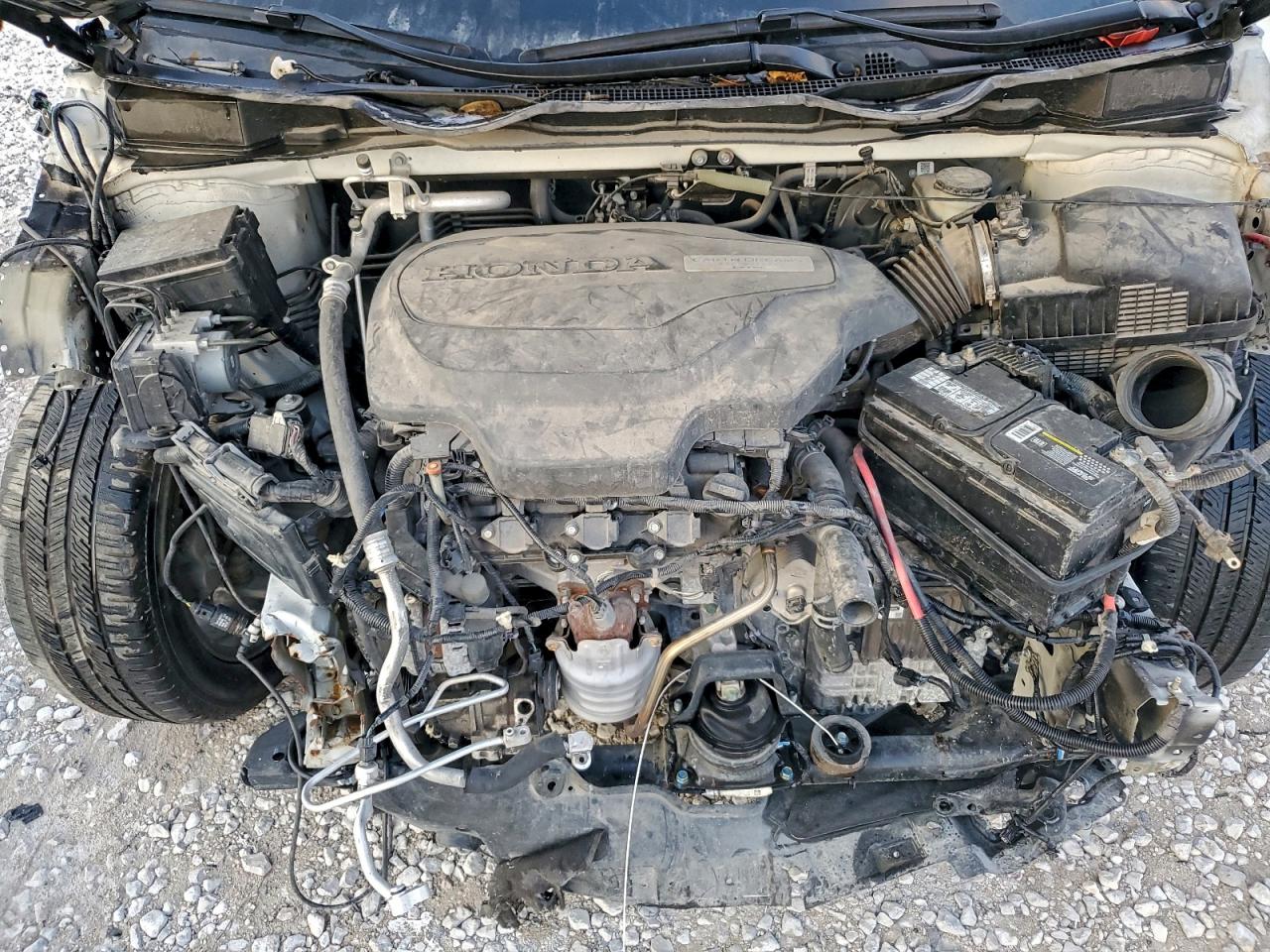 Honda Odyssey Elite Image 7