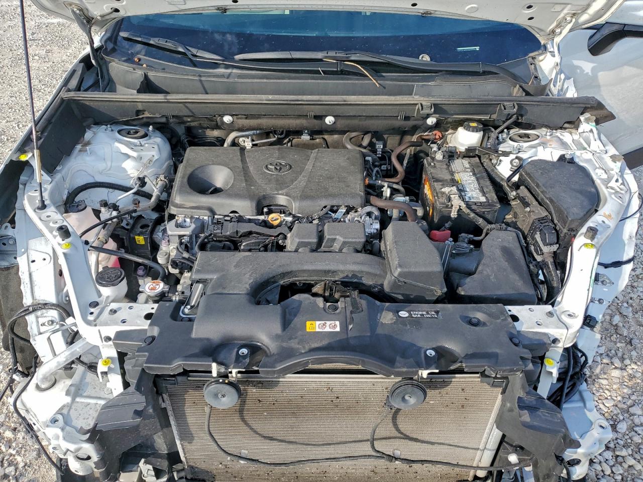 Toyota RAV4 Xle Premium Image 5