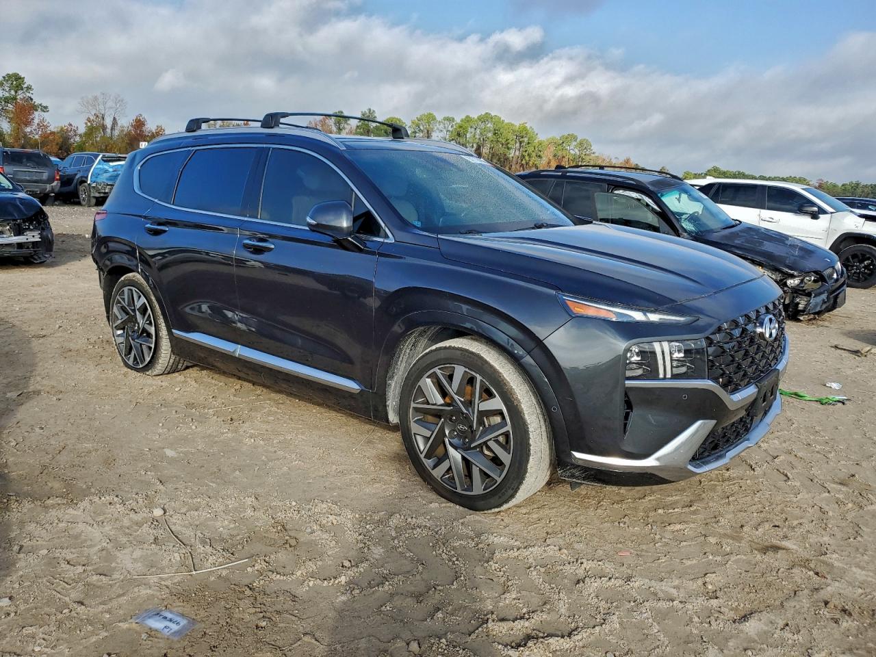 Hyundai SANTA FE Calligraphy Image 14