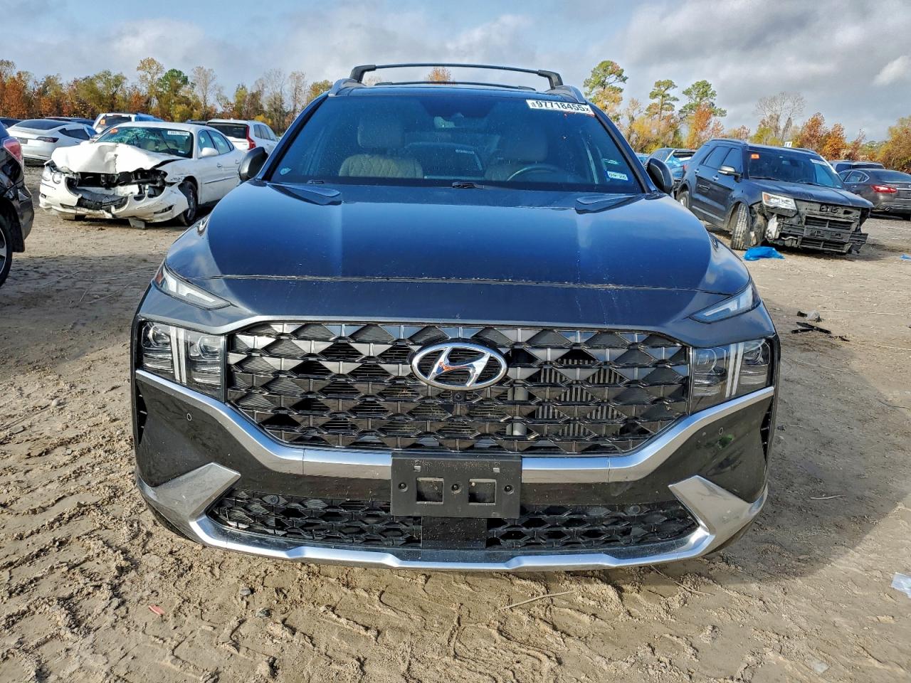 Hyundai SANTA FE Calligraphy Image 9