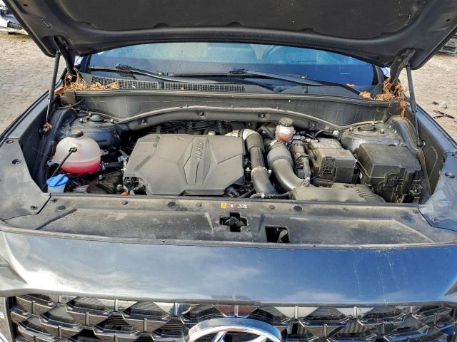 Hyundai SANTA FE Calligraphy Image 13