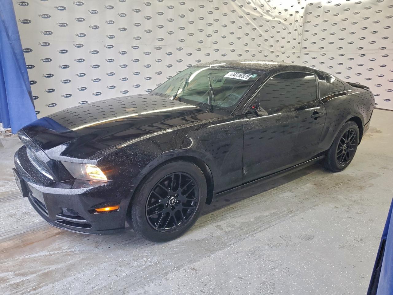 Ford Mustang Image 1