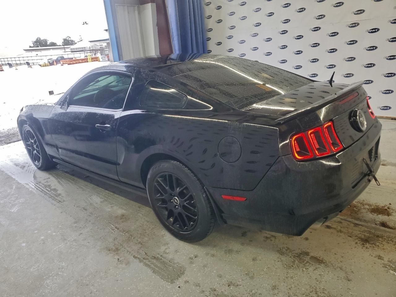 Ford Mustang Image 2