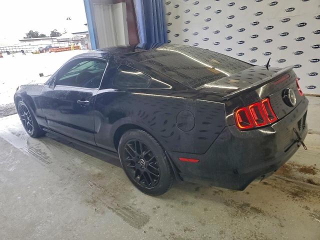 Ford Mustang Image 2