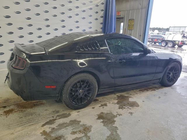 Ford Mustang Image 12