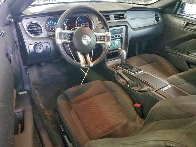 Ford Mustang Image 11