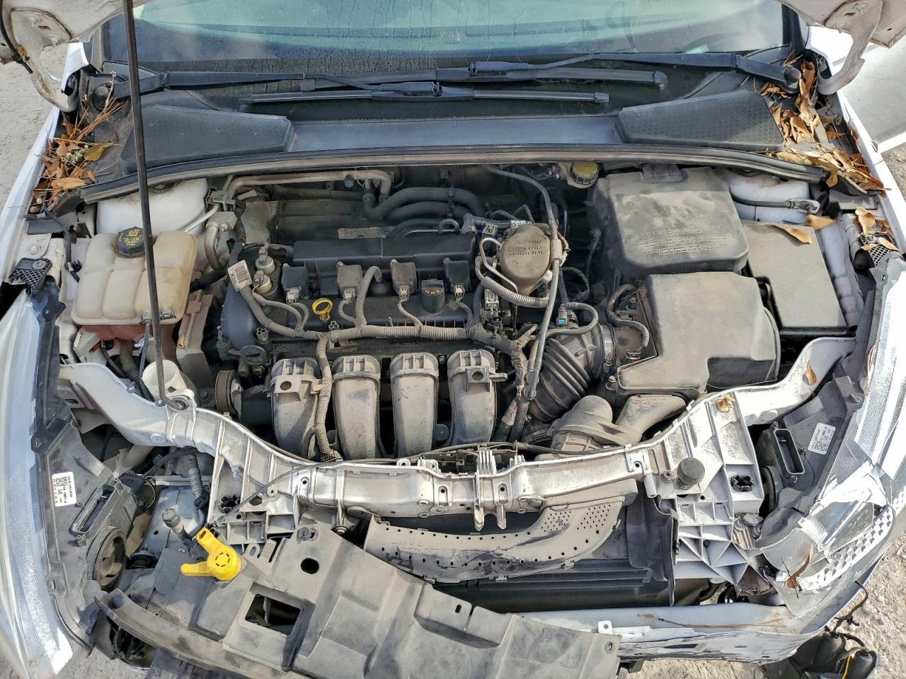 Ford Focus Se Image 8