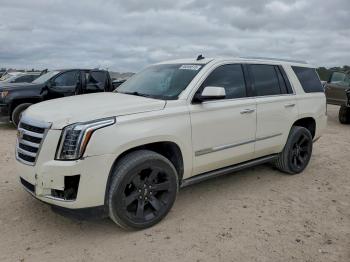  Salvage Cadillac Escalade