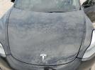 Tesla Model 3 Image 12