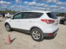 Ford Escape Se Image 13