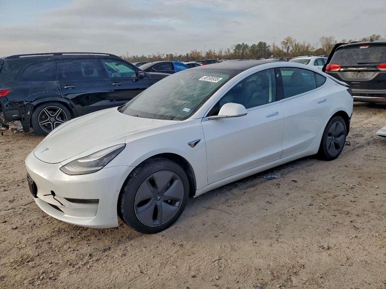 Tesla Model 3 Image 1