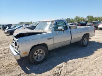  Salvage Dodge D Series