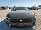 Ford Mustang Image 2