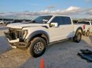 Ford F-150 Raptor Image 1
