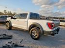 Ford F-150 Raptor Image 2