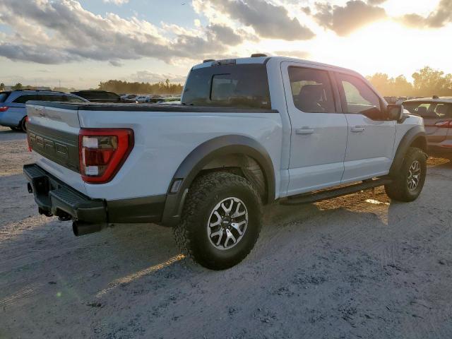 Ford F-150 Raptor Image 12