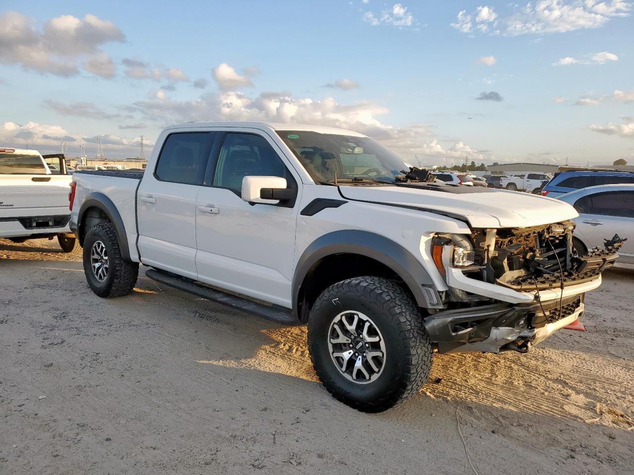 Ford F-150 Raptor Image 3