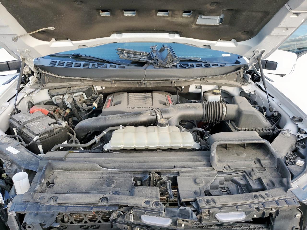 Ford F-150 Raptor Image 10