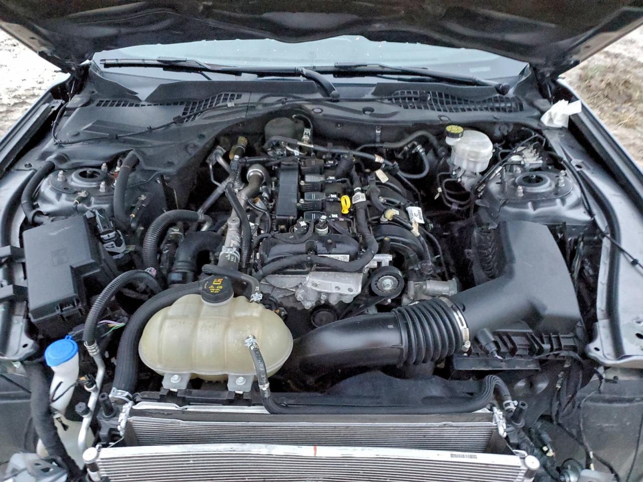 Ford Mustang Image 13