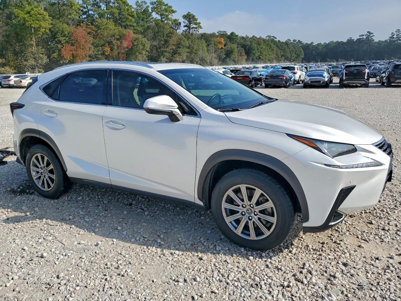 Lexus NX 300 Base Image 2