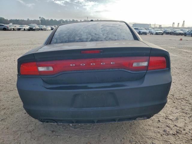 Dodge Charger Se Image 12