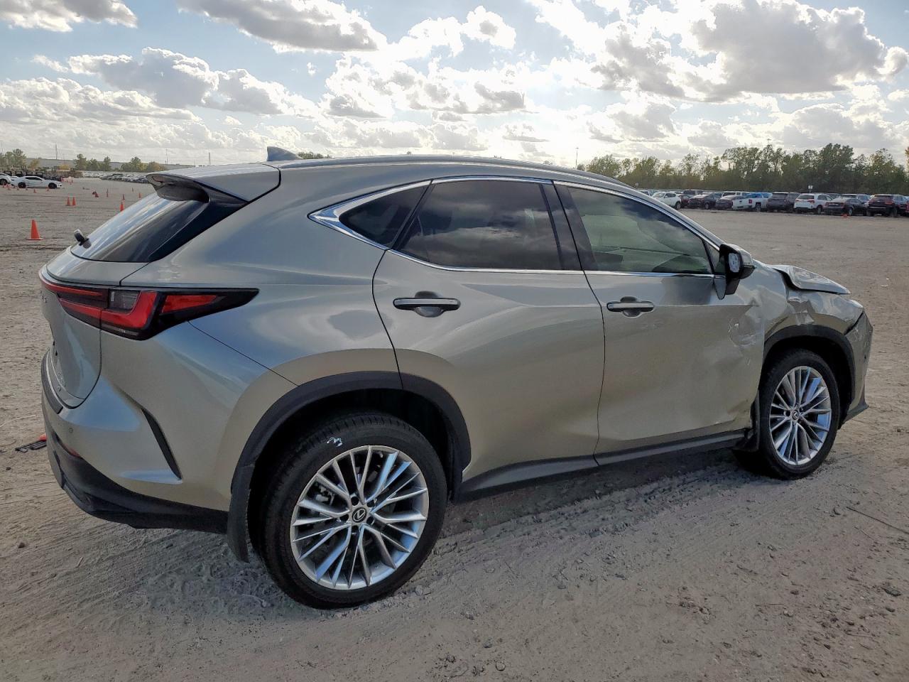 Lexus NX 350h Image 13