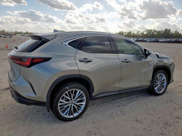 Lexus NX 350h Image 13