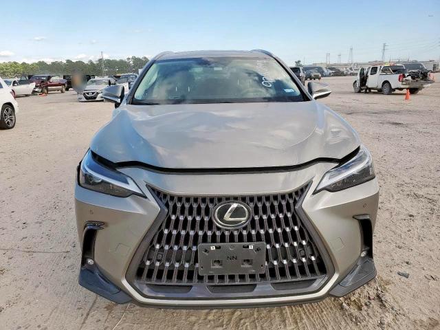 Lexus NX 350h Image 12