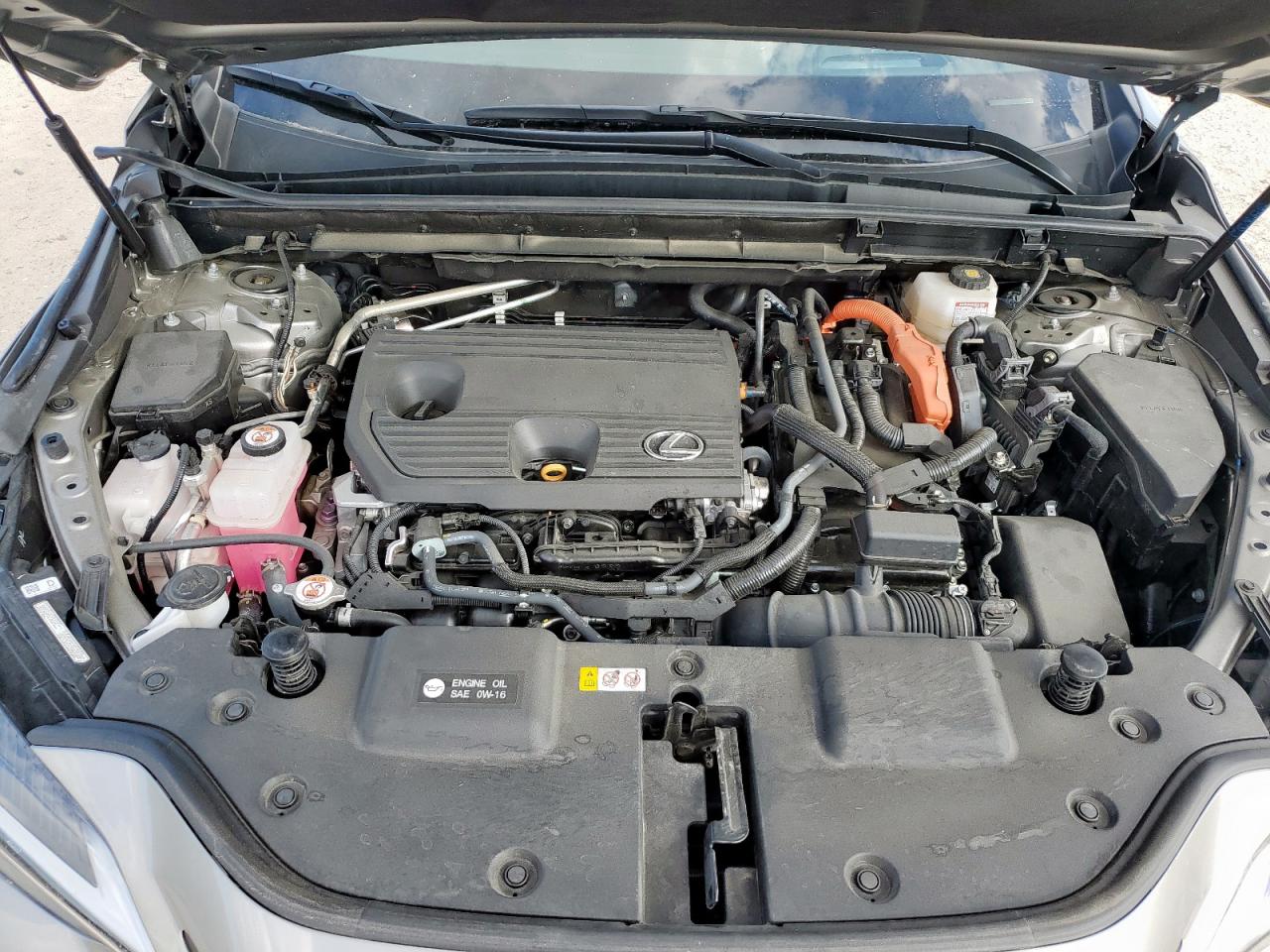 Lexus NX 350h Image 11