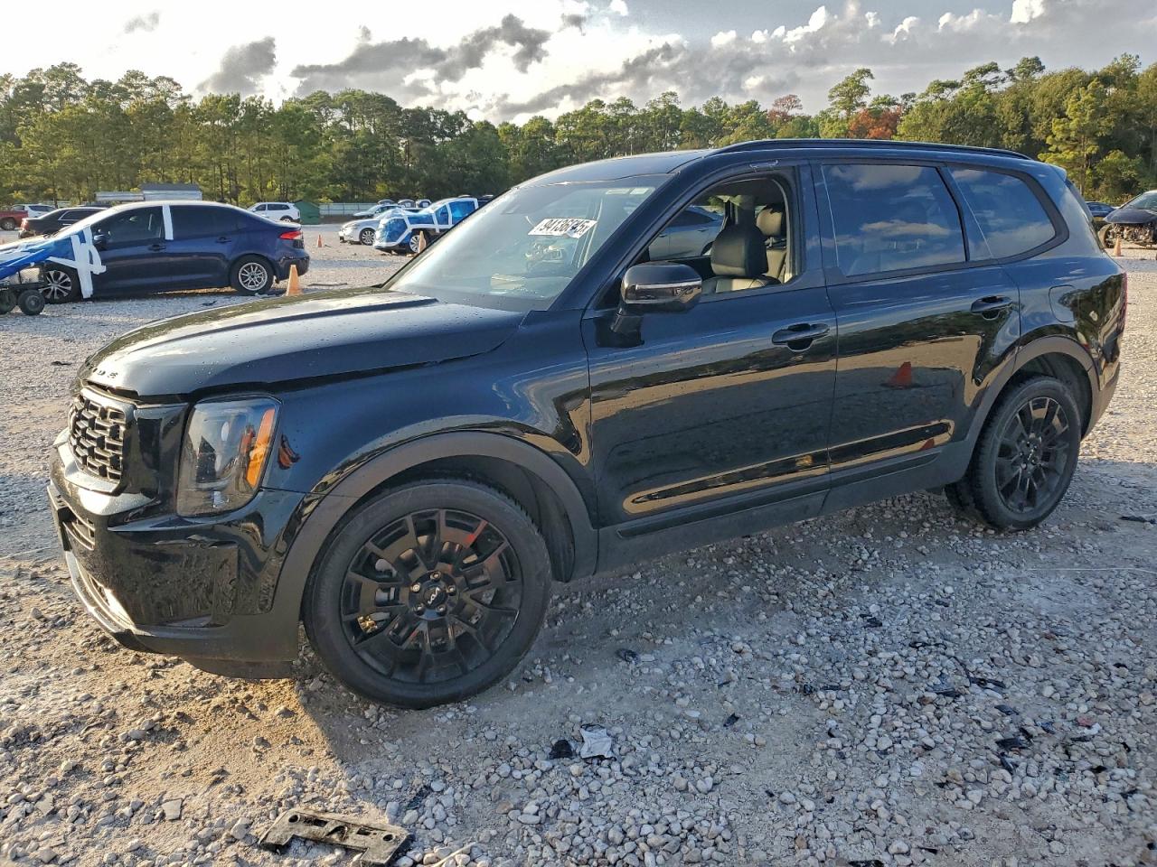 Kia Telluride Sx Image 1