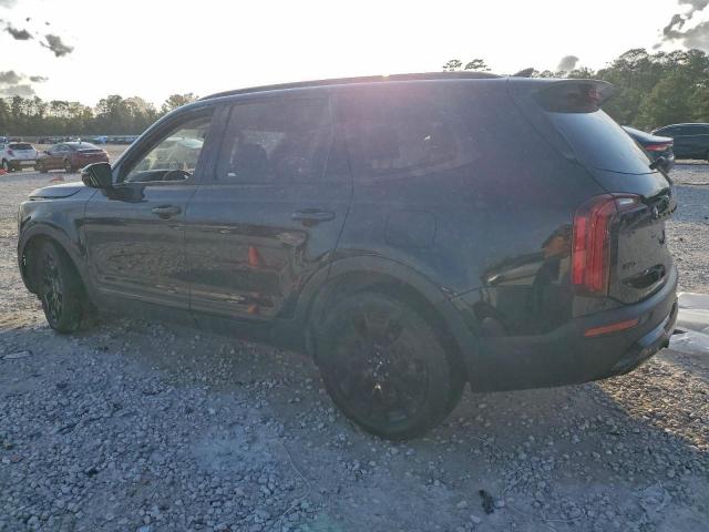 Kia Telluride Sx Image 13