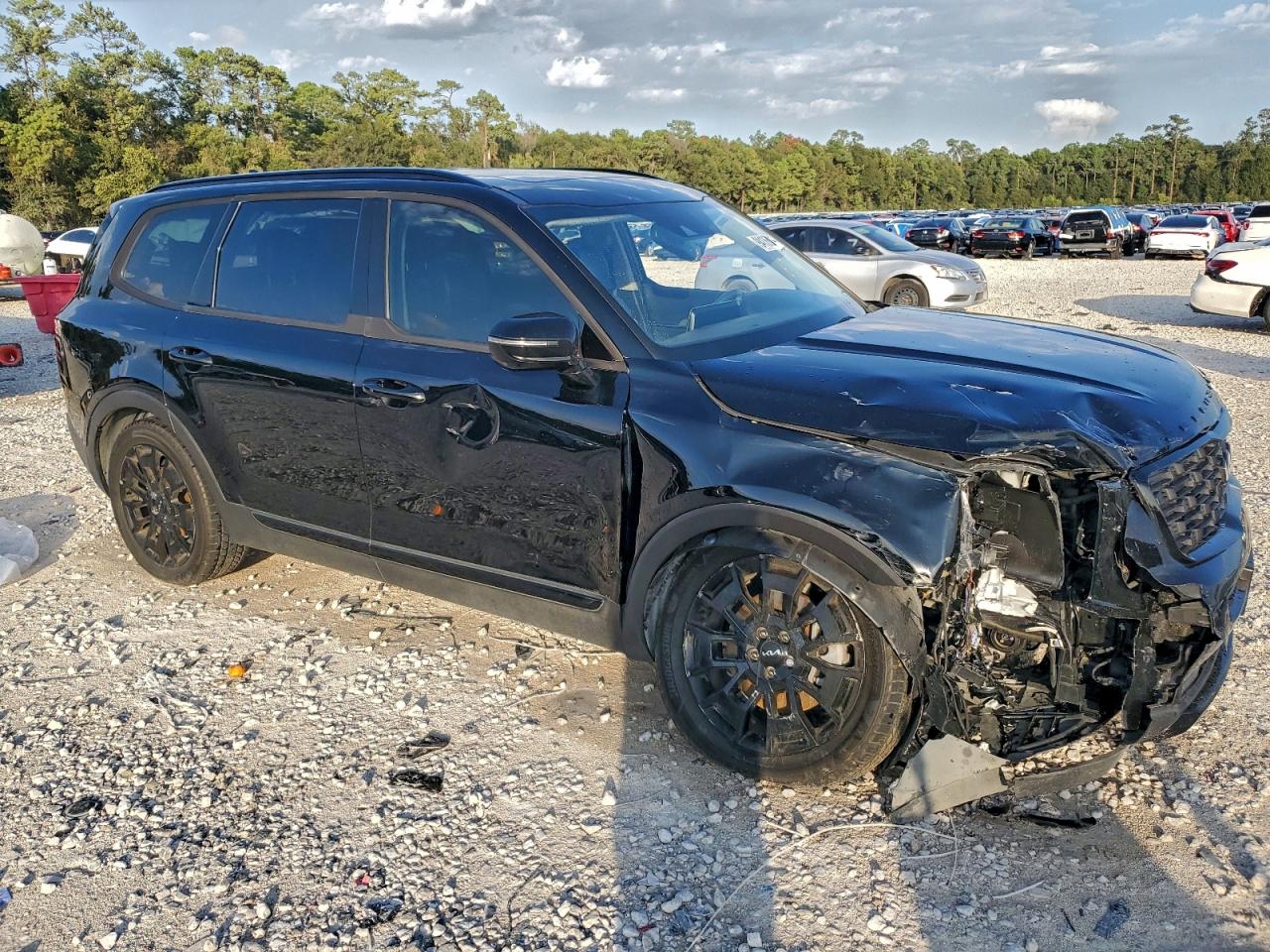 Kia Telluride Sx Image 11