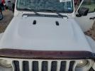 Jeep Wrangler Sahara Image 10