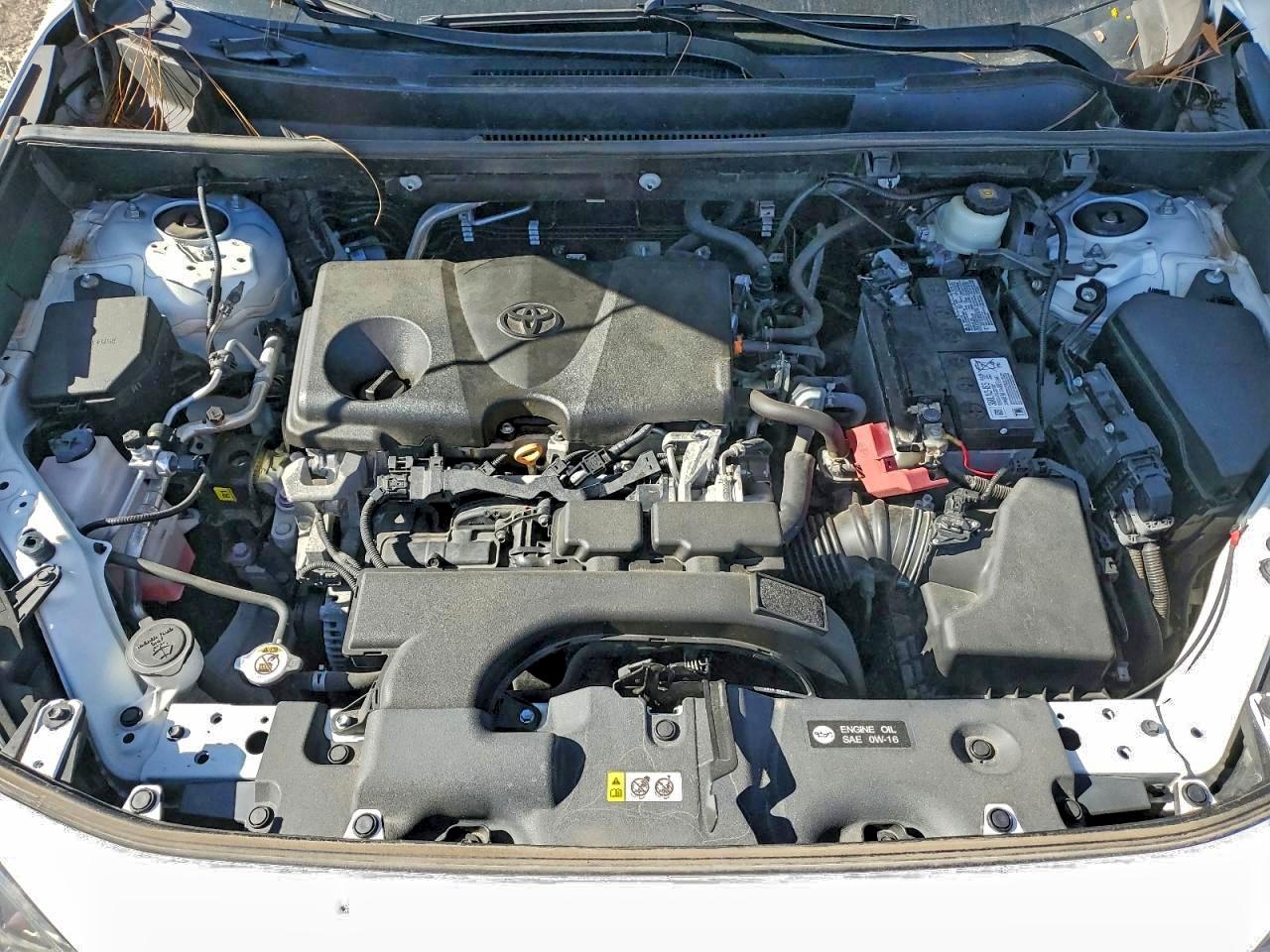 Toyota RAV4 Xle Image 7